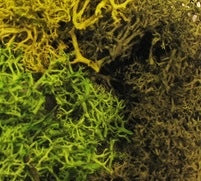 The Army Painter Battlefields Summer Undergrowth - BlackMike Models