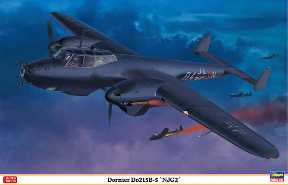Model of a Dornier Do215B-5 aircraft with 'NJG2' marking against a cloudy sky.
